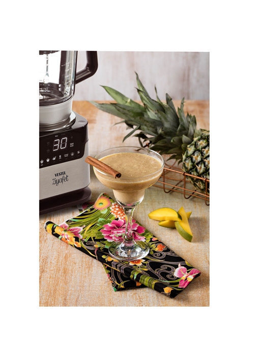 Vestel Ziyafet Pişirici Blender