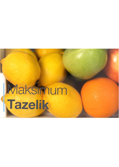 Vestel NFK72022 E WIFI 650 Lt No-Frost Buzdolabı