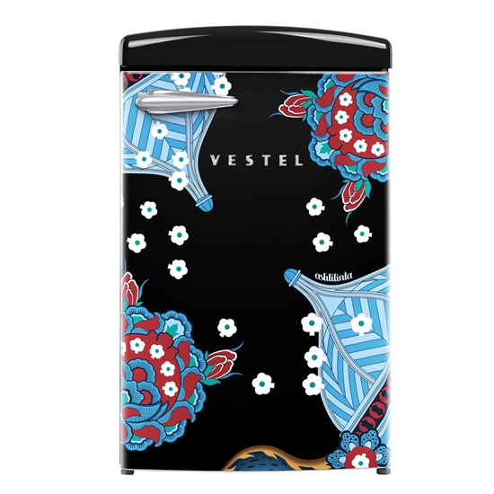 Vestel x Aslı Filinta Retro SB14511 Siyah Çini