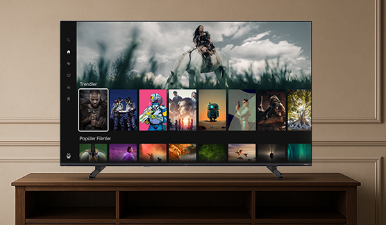 Tivo nedir?